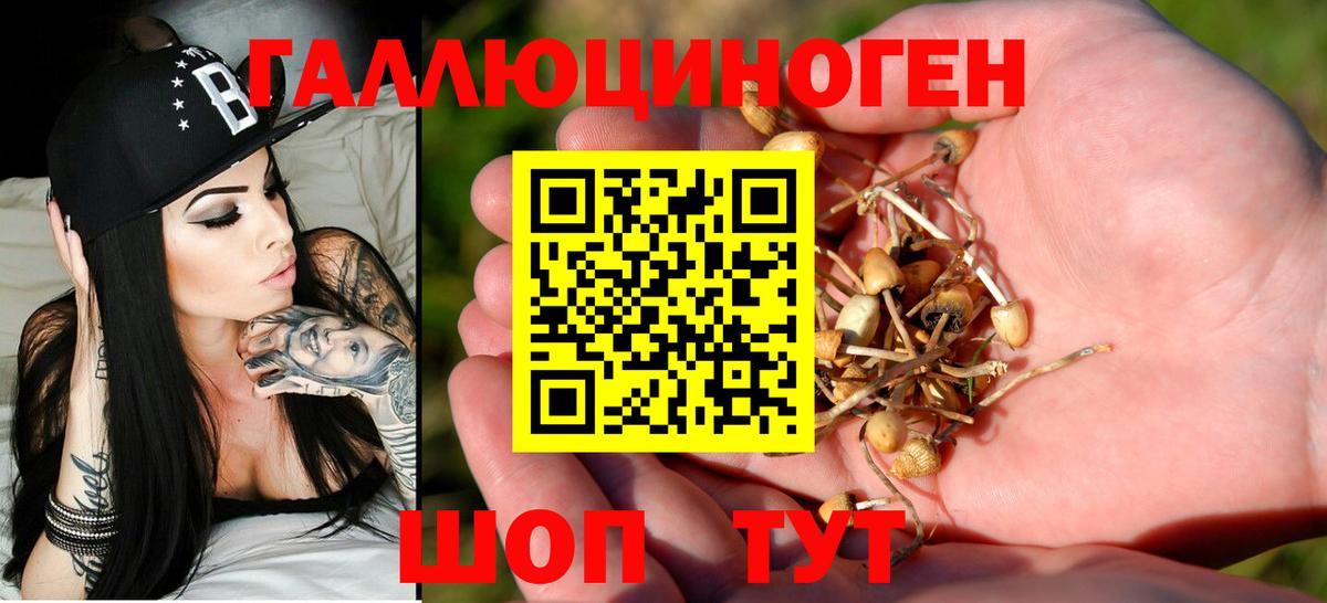 Галлюциногенные грибы ЛСД  магазин продажи наркотиков  Галлюциногенные грибы MAGIC MUSHROOMS  Кашира  Вход с VPN 